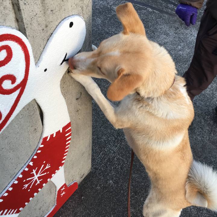 7d8cbb5b 18de 49df b7a9 73a7975d3966