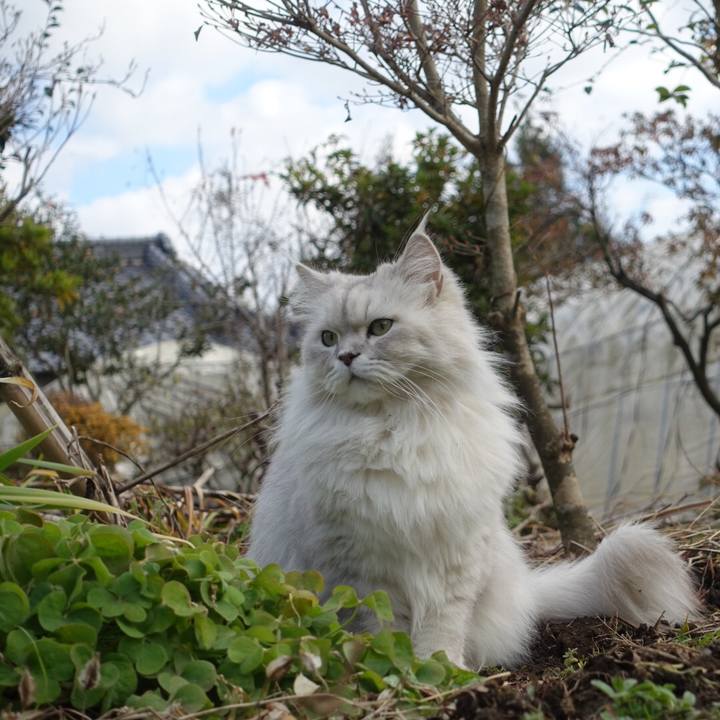 7d8cbec2 4556 4303 bfb7 58f535e9bb3f