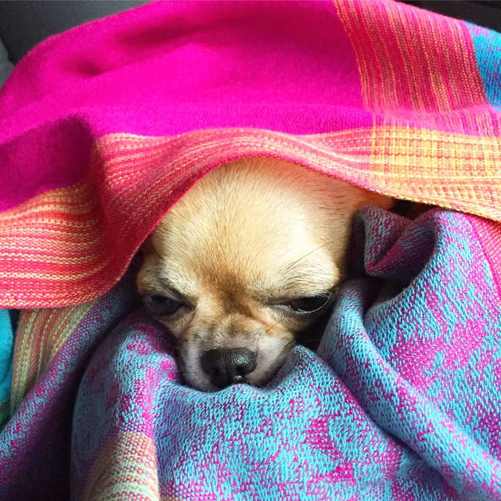 7d8cddef 0db2 4fb6 9f36 eacfb58308ef