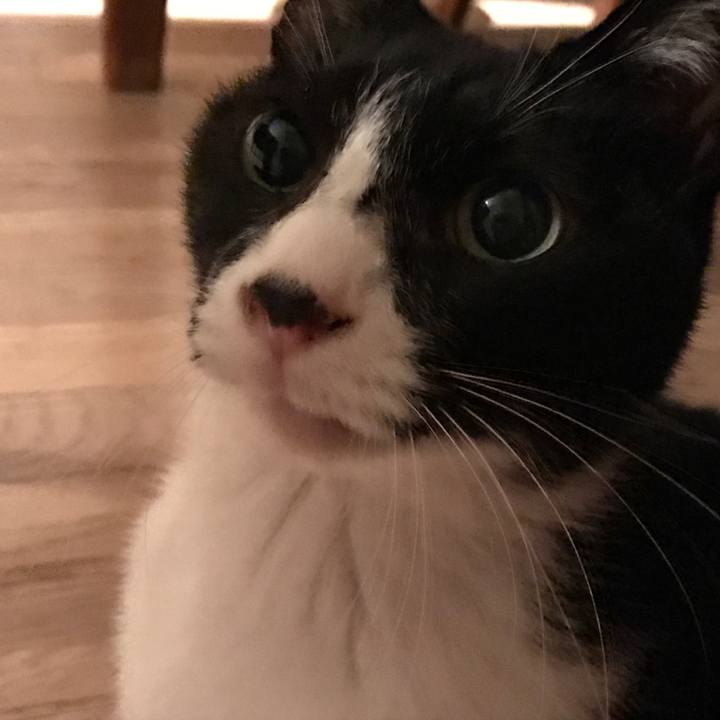 7d8d465c ac5c 4bfa ac82 279996a27bc8