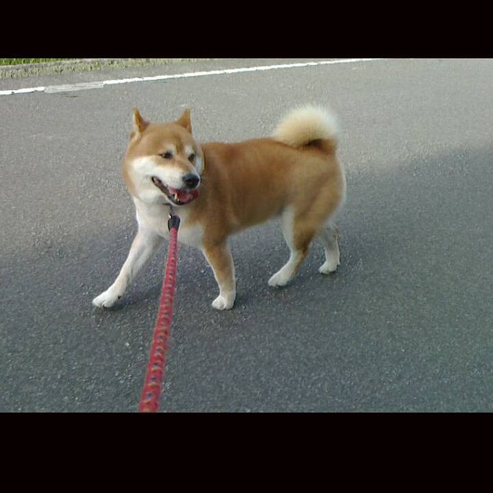 7d8d4a6a b10a 435e aa0b e9616a80e718