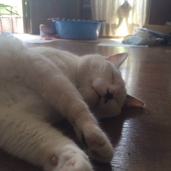 7d8dd984 e14f 4495 a137 29baee38d08a