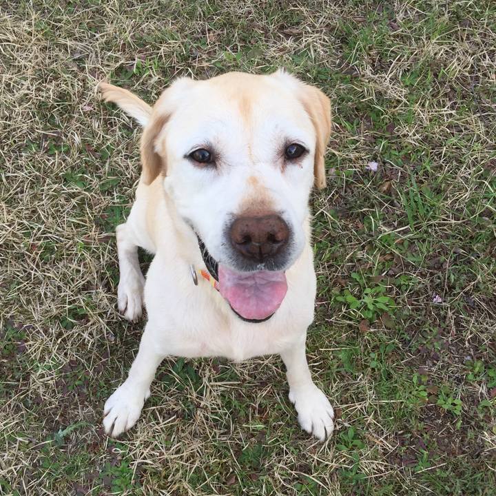 7d8dead4 e7b5 4548 bdde 2c8def012732