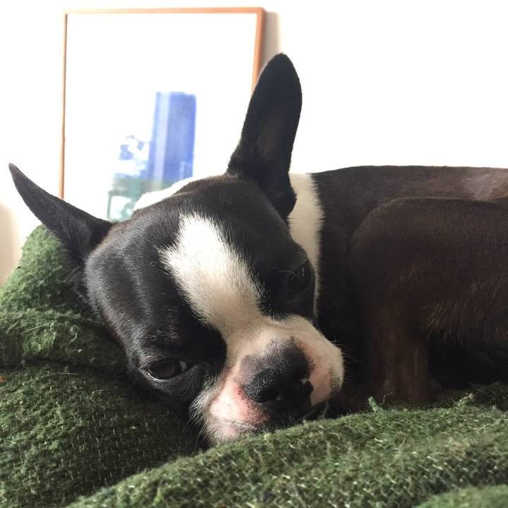 7d8dff74 47d7 4354 ae5c aad26b1f3093