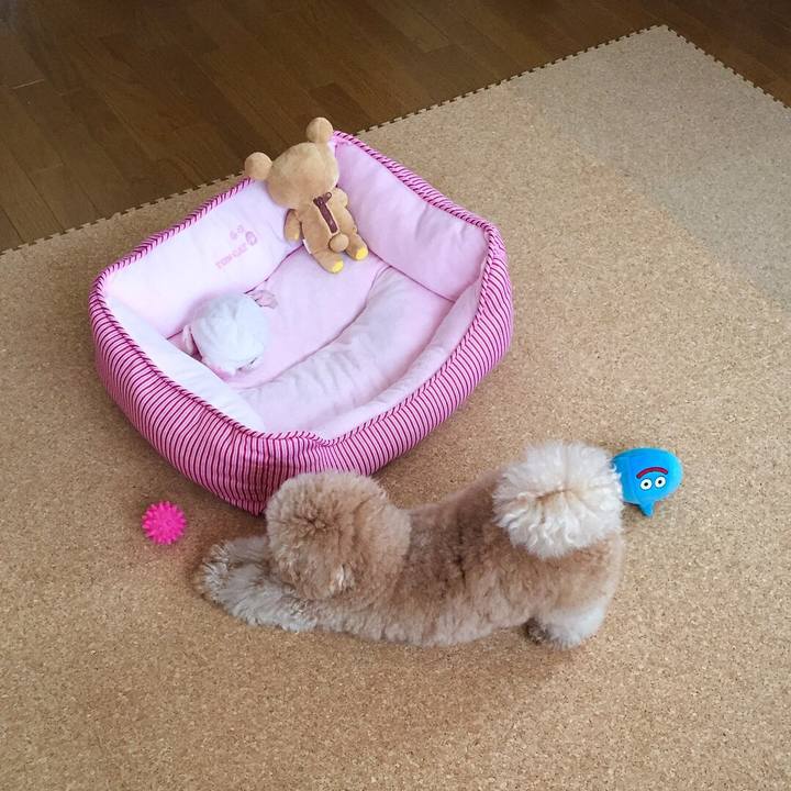 7d8e2d1e 2c8a 4b98 8f4d 1c78cd996b22