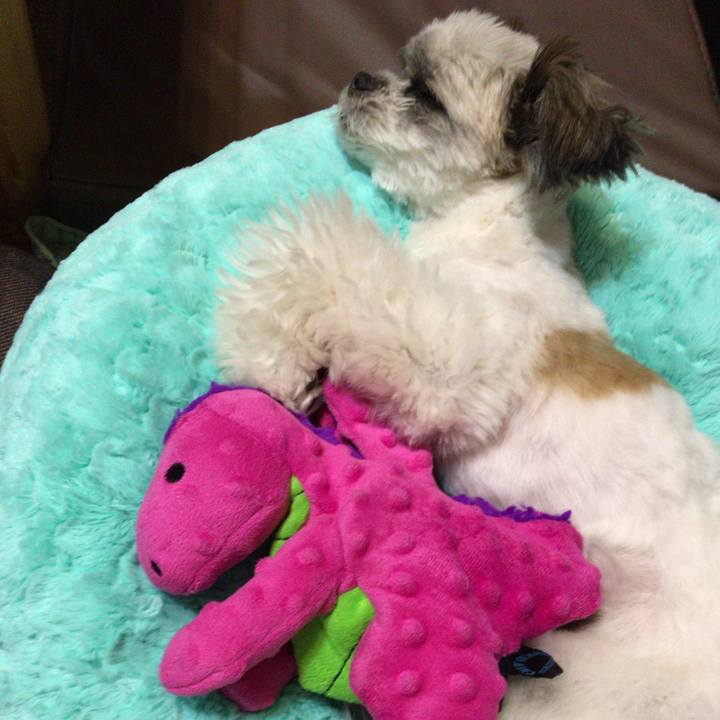 7d8e590f ab65 44a5 ab02 aa05d8cee14b