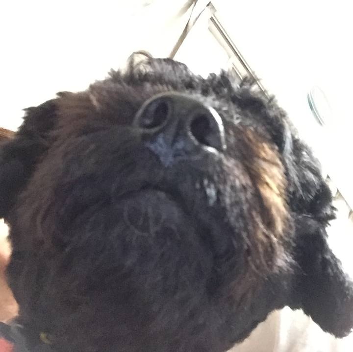 7d8e5de3 90ab 4d3e 8e8f c6a139af507e