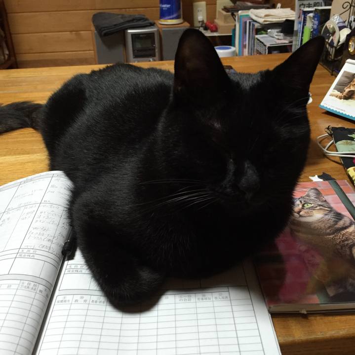 7d8ea013 b27f 4dc3 a2d4 dd99bfd17ec4