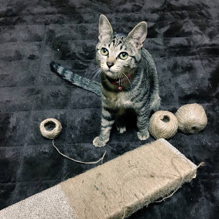 7d8f6e06 389c 4f62 b5e7 fc4eb5cea84e