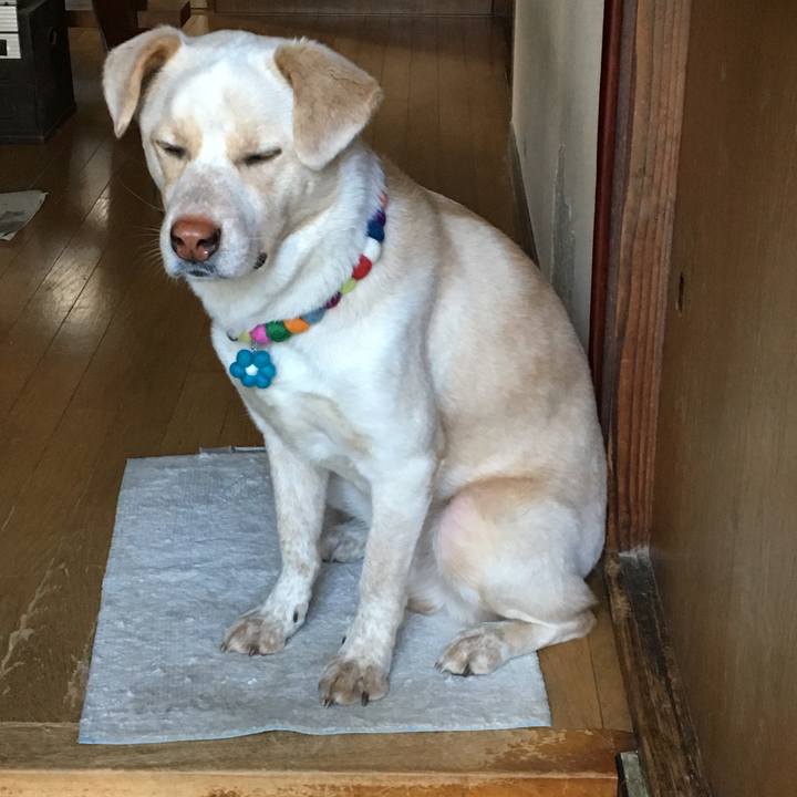 7d8f9e2c edfc 462f 810b 036872c83994