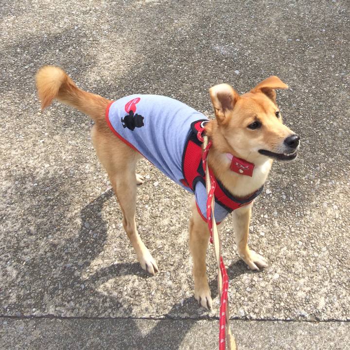 7d8fa043 fa86 4440 ab1a aed98a9b1a92