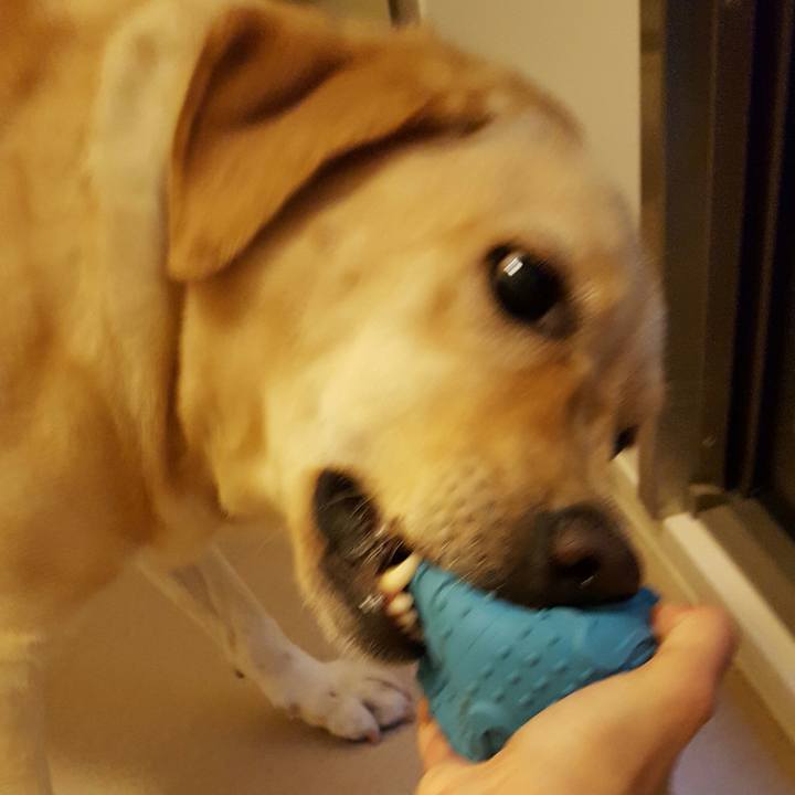 7d8fb256 7171 468c 8fbc b6ffc32059a9