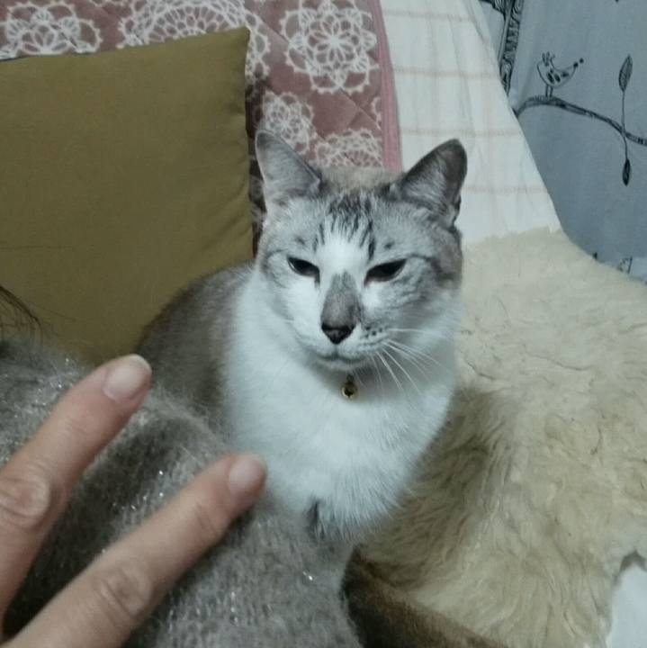 7d8fda37 fdc9 4e76 a8f9 49a115961744