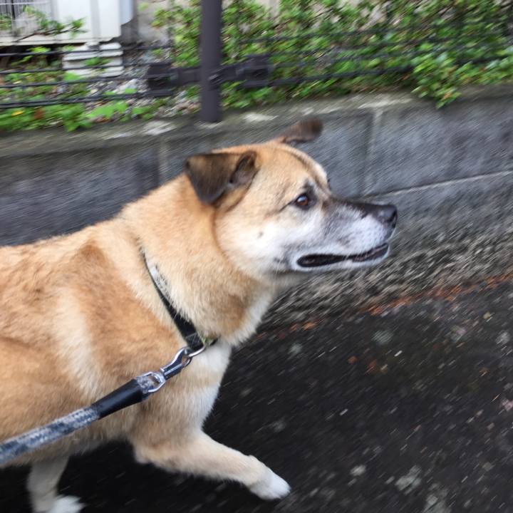 7d90020a f9ea 411c b0bf 991cfa6d519a