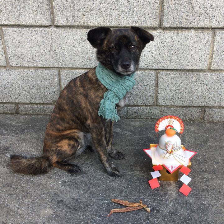 7d902853 176f 4fe3 8971 65150ce732b4