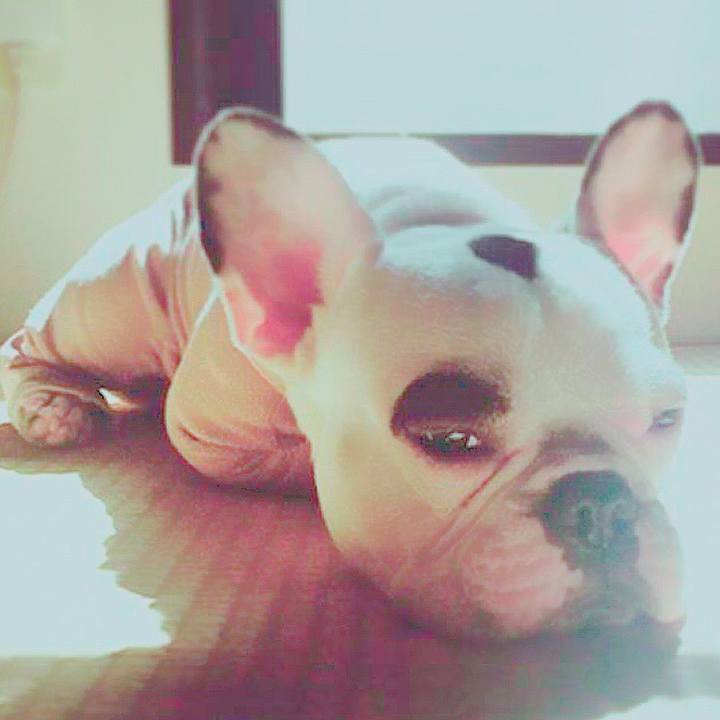 7d903433 92c3 41ea 90fb 8fdc84783617