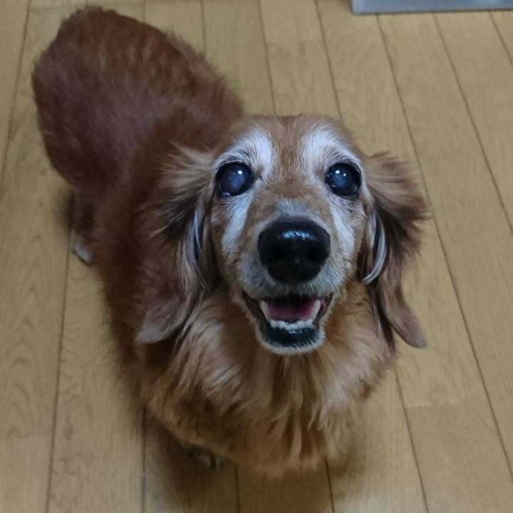 7d9059d9 bcac 4661 83c0 839f8197a660