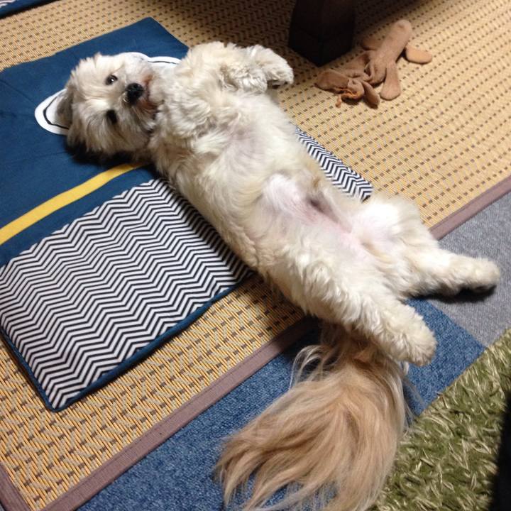 7d9076fb a343 45ef 907e de8af3d32518