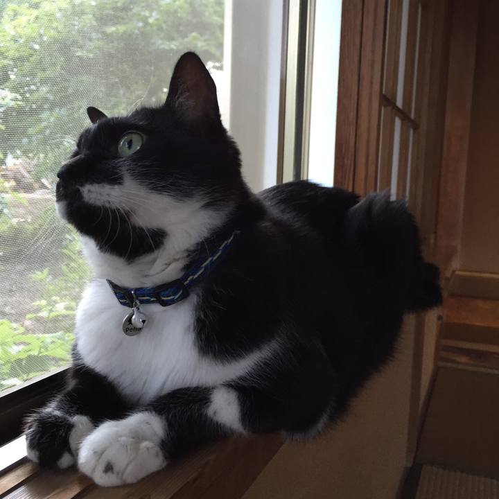 7d908cd0 d135 4445 9392 213864493dca