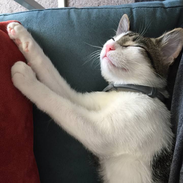 7d910db0 d2c5 4a6c 847c 55d95561d901