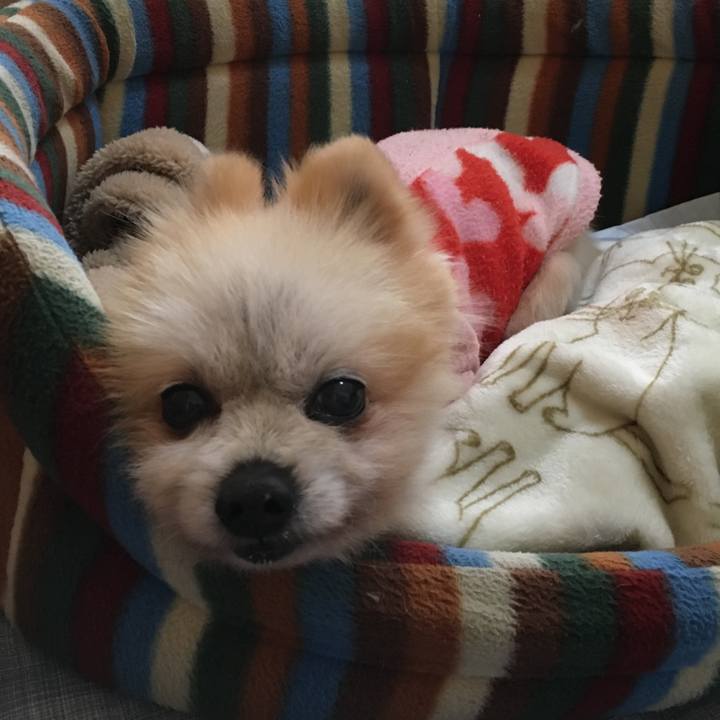 7d91d474 8aa5 4e71 be4e a6496a111f8e