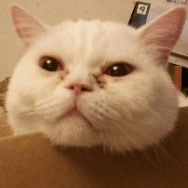 7d9216e9 3789 49a8 9a9f 090b06cf89d8