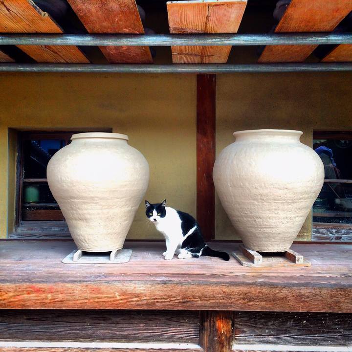 7d930799 360f 496a a6ef 6ca6e06ab347