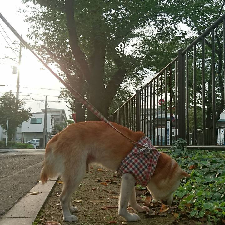 7d9335d8 e6d7 417d a97a 7776633668ca