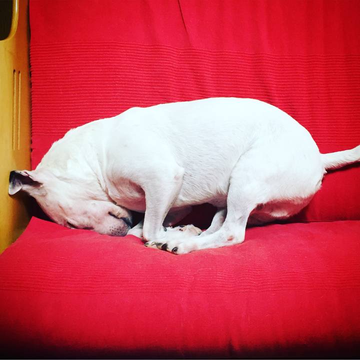 7d9373d6 d917 4079 93a0 923f086855ae