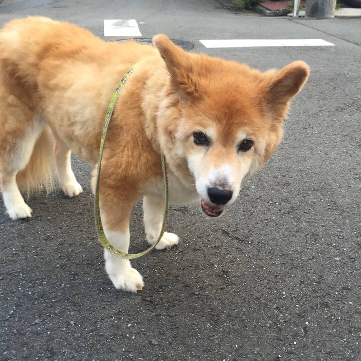 7d945b29 5723 4fae 961b 7276f782ce3a