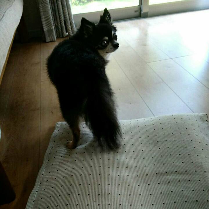 7d94b0fe 43ca 4166 844e 72341d930778