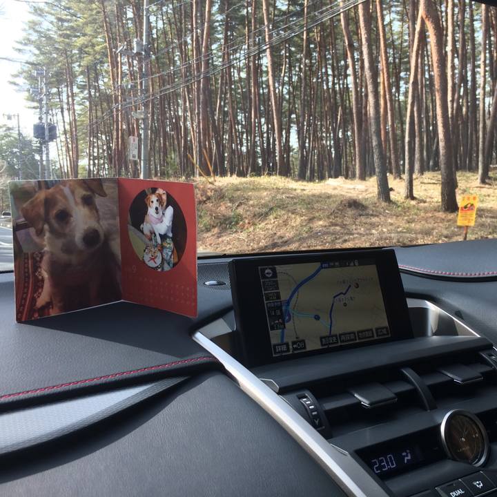 7d9532ab 855c 4a6e bb2b c488bbf95ba6