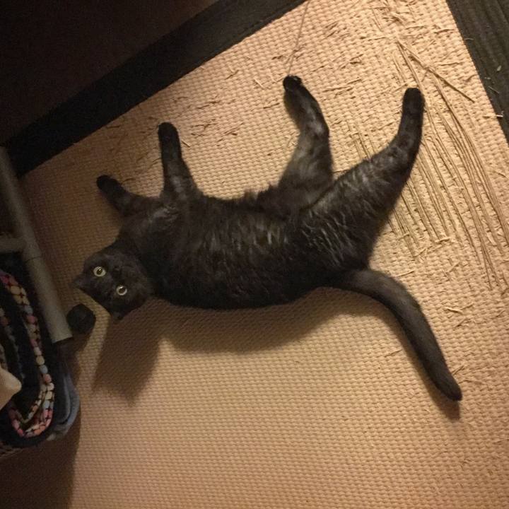 7d9556c8 74f2 4e07 83e4 38772e7a27a6