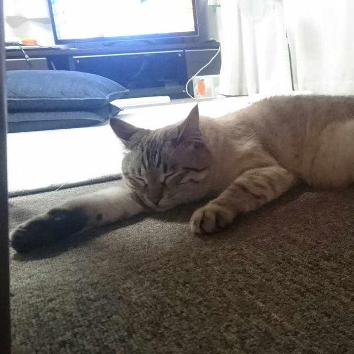 7d955a92 26e4 4ebb b8bd 7d7957fb366c