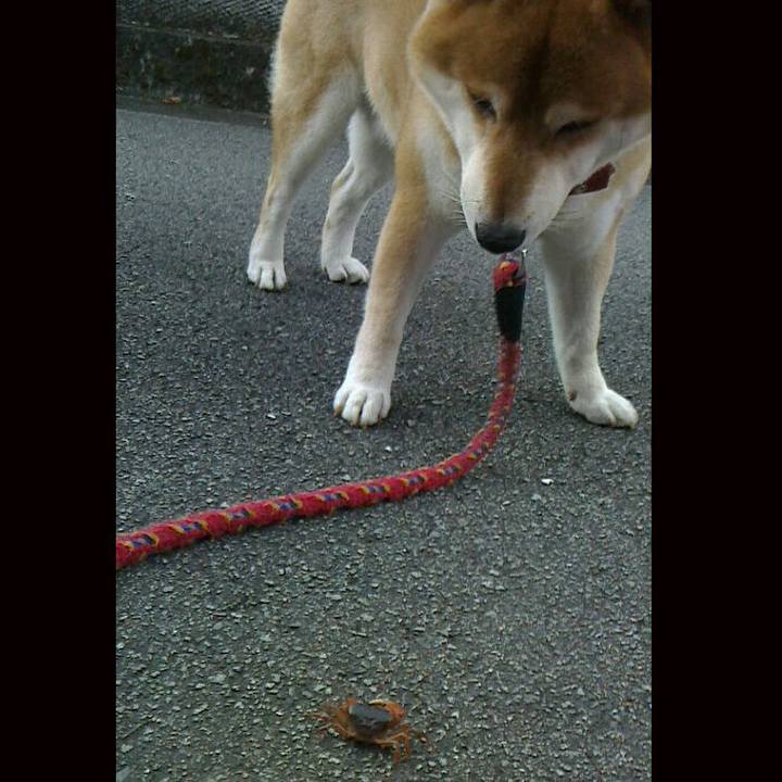 7d962db7 ec07 4316 8e14 6b54fbd8f54f