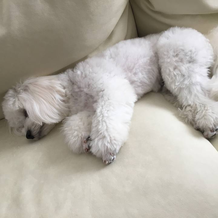 7d964579 54be 47a8 8c1d 2e45dac48491