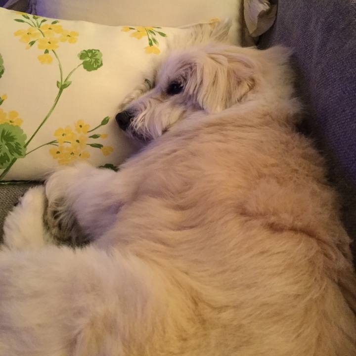 7d9694bc c2da 4cc7 bac1 1d22788dfb5c