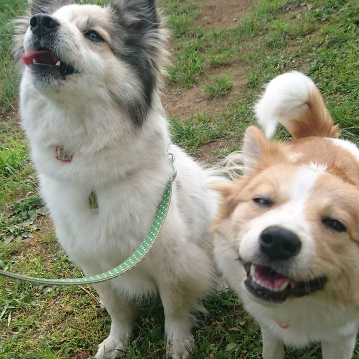 7d96ada2 43f9 4a6c bfc0 f8d1d63a74bf