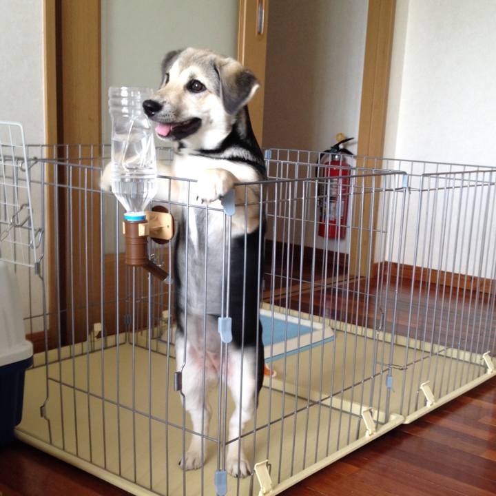 7d972368 1826 4c20 a8a9 8fc5df0b5dd9