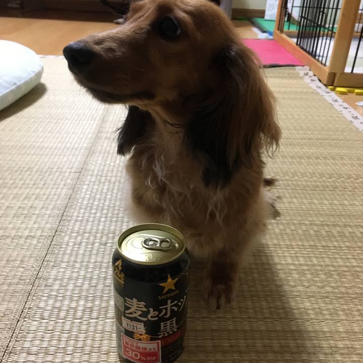 7d973f55 9cbd 4bd5 a20b 7d0952d0ba87