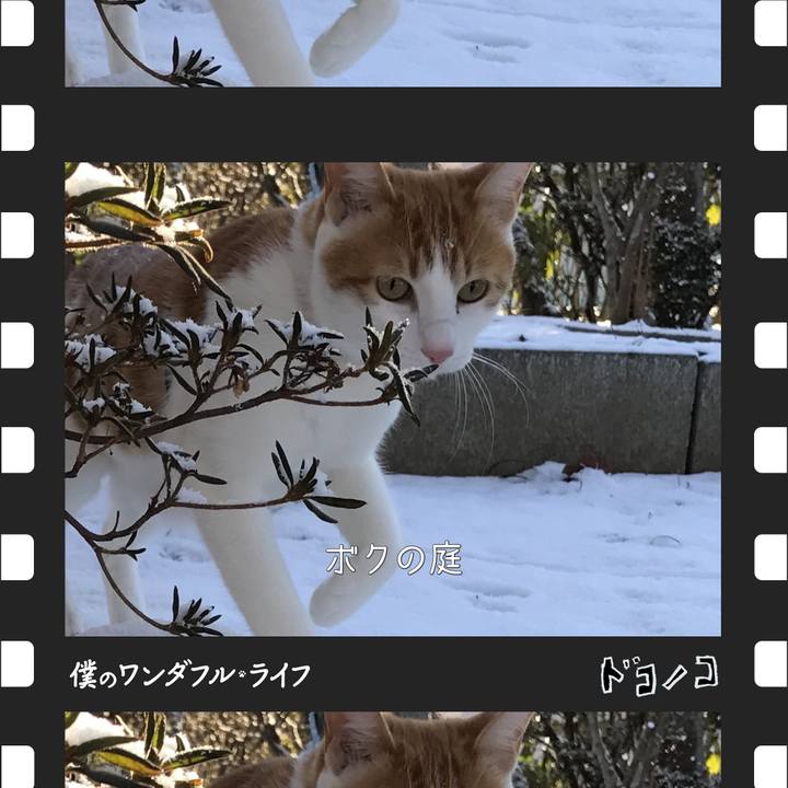 7d97c129 2f21 4abe 81d8 d89f16126c36