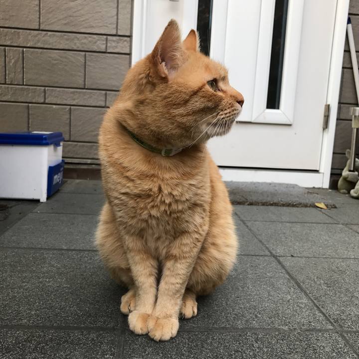 7d9867ad d0f6 4615 9633 d3bca4cc0333