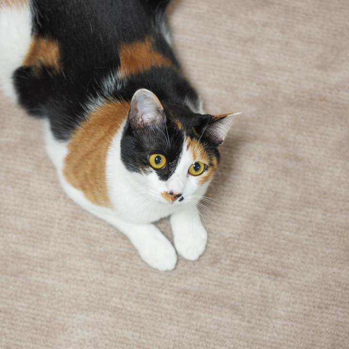 7d987ac7 e4bb 440f 9ea2 6b242744bf8a