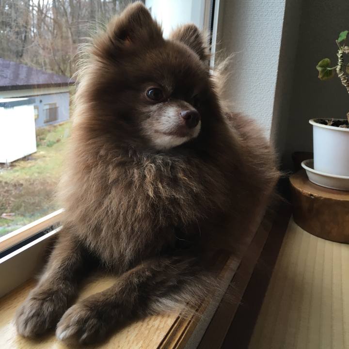 7d989119 3a59 42ba b28c 6158f164d2f3