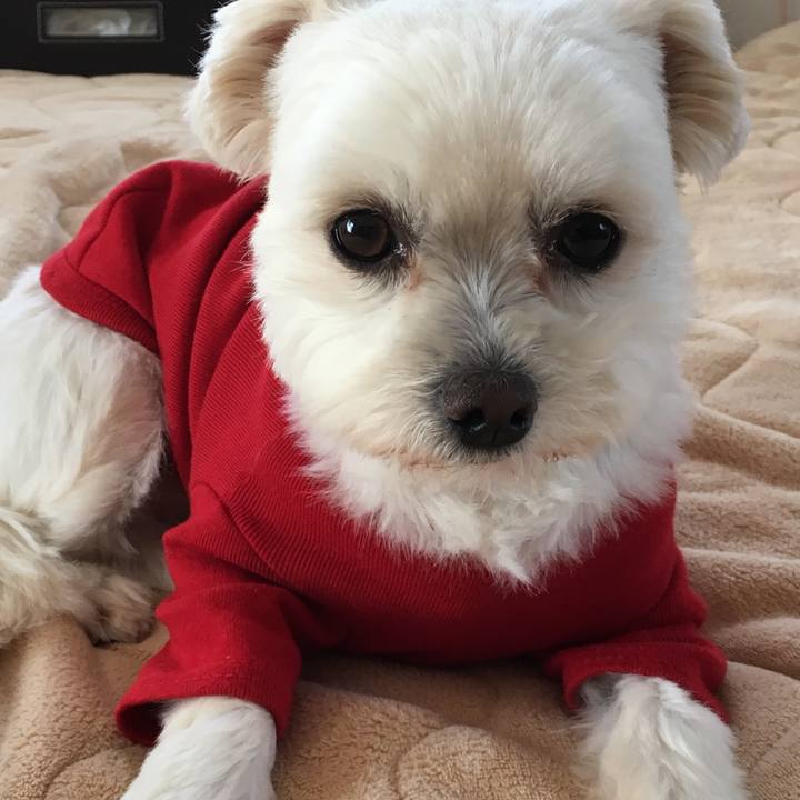 7d98e0a4 6699 4516 9f50 e2980b25a0f3