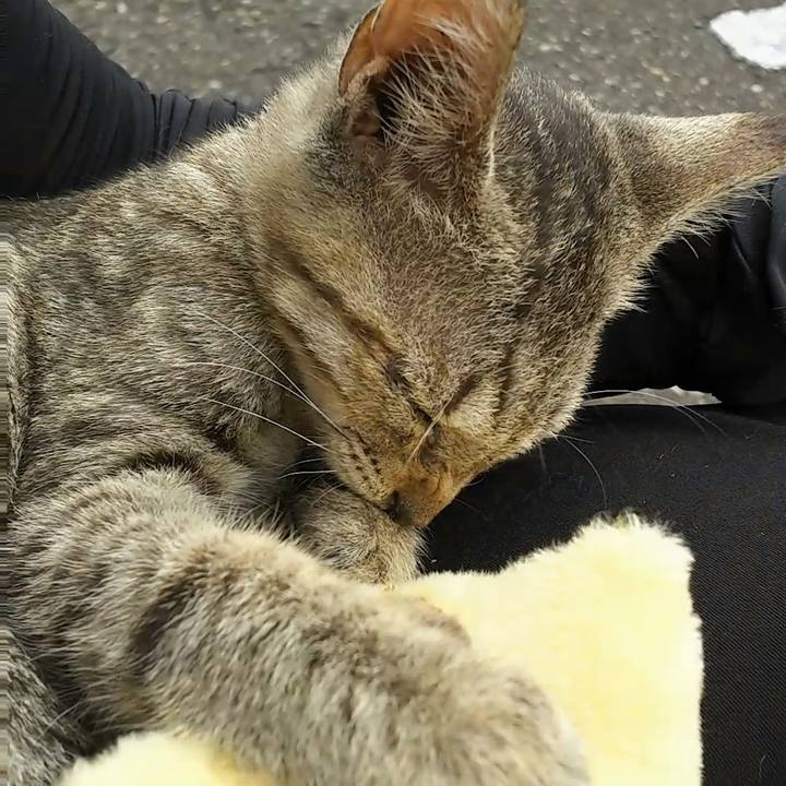 7d991384 406c 4419 9ba2 497f723e68df