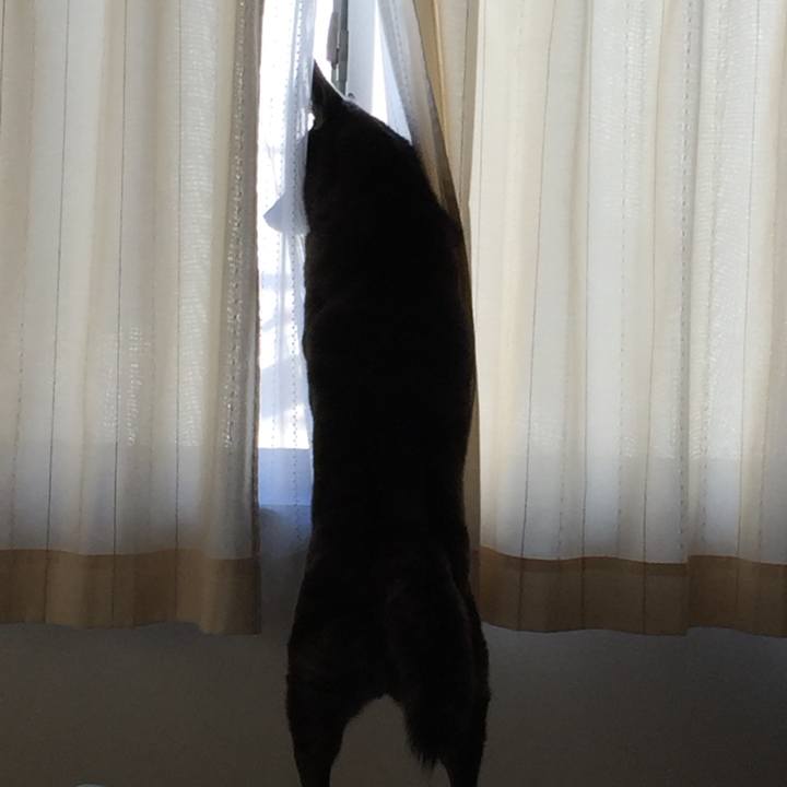 7d9967b7 d67d 4fca 8201 b5883186e4aa