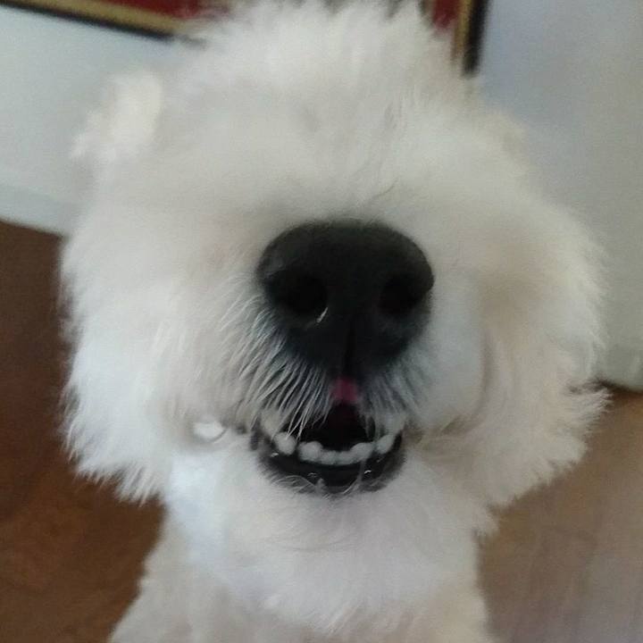 7d996daf a8fb 4d3c b923 5ee26163f734