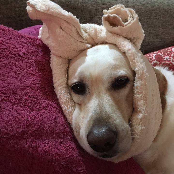 7d9a3cbc 458c 4485 bba4 7ed65baaf9ac