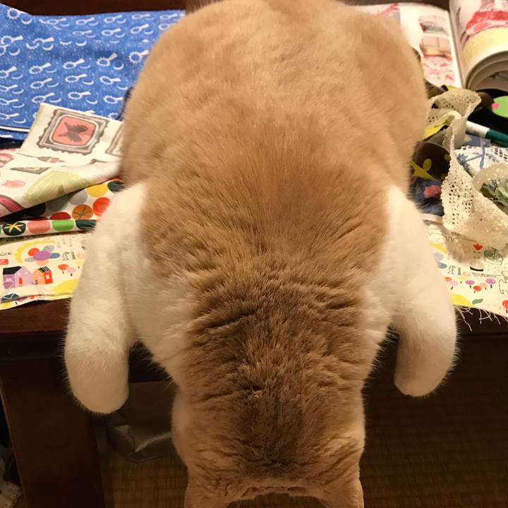 7d9a7220 4def 404d b8b0 2b5c737fa092